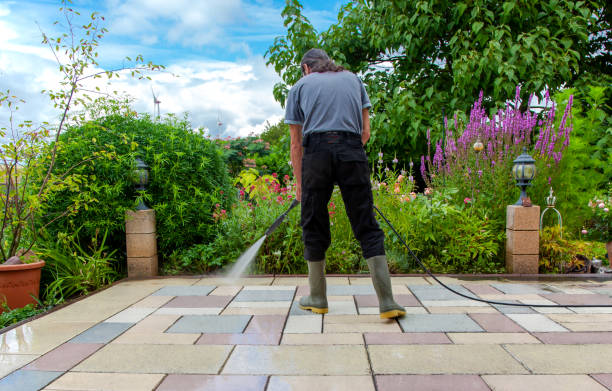 Best Fence Cleaning  in Shingle Springs, CA